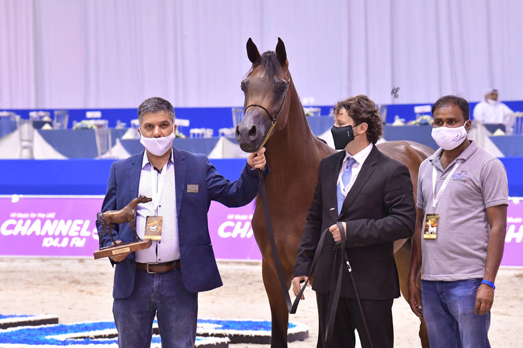 Dubai Celebrates the Champions of the Prestigious Arabian Horse Championship