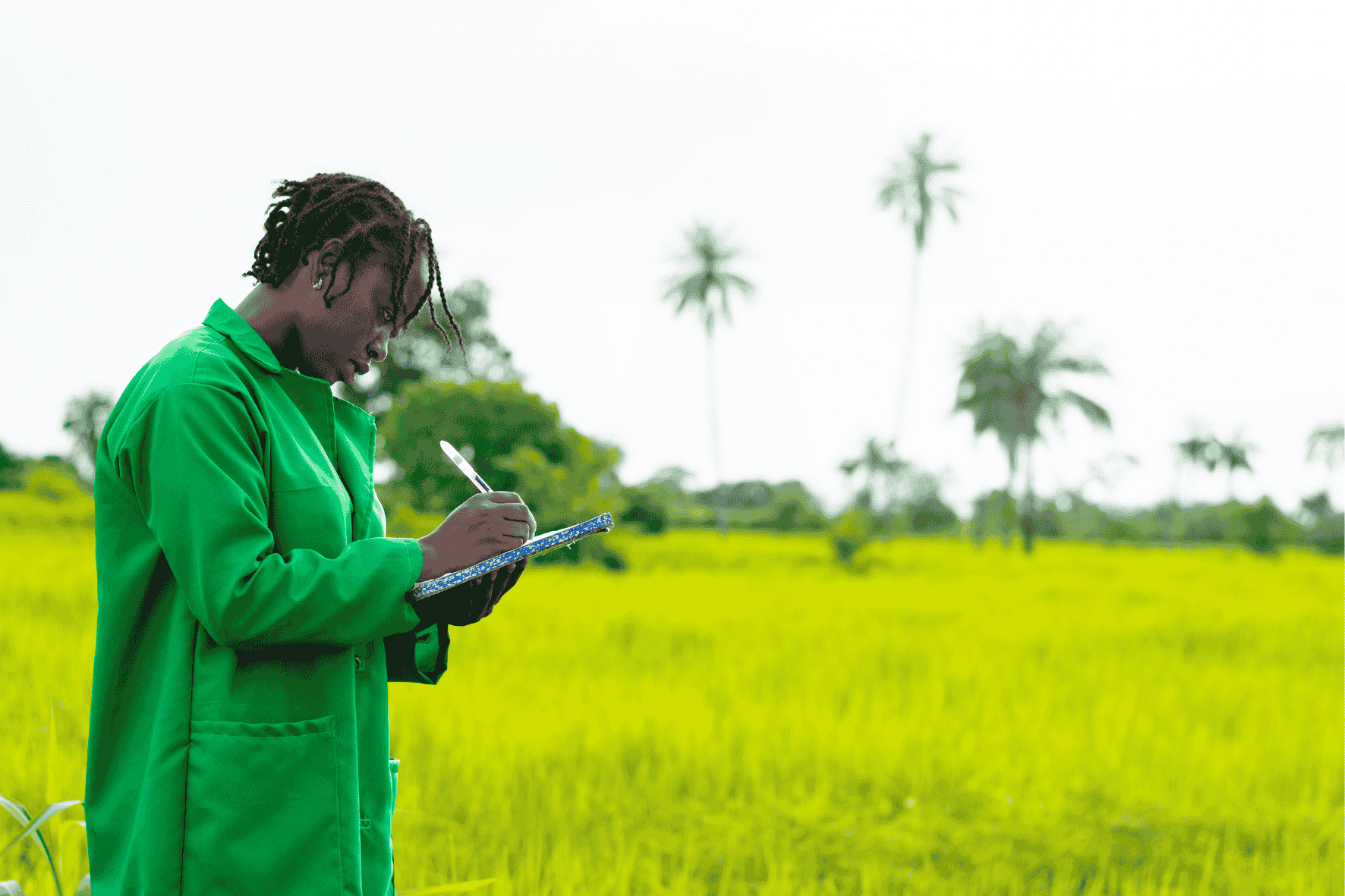 UAE & Brazil Partner for Sustainable Agriculture and Climate Impact