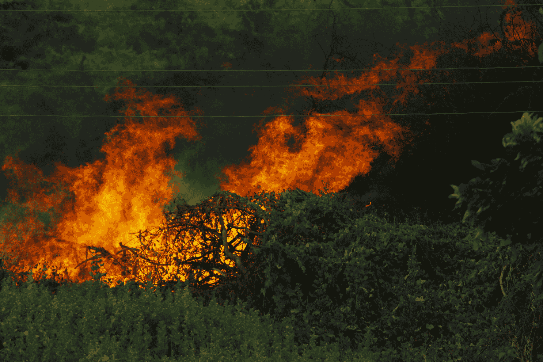 Arunachal Pradesh Battles Major Forest Fire Amid Climate Change