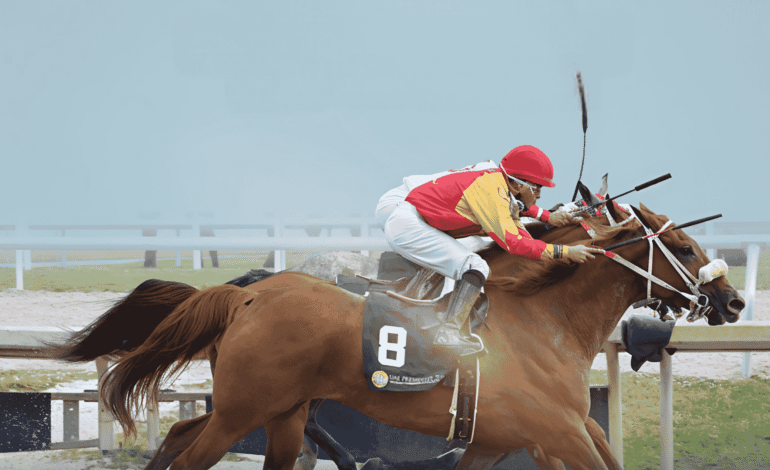 UAE President’s Cup 2025: Purebred Arabian Racing at Pimlico, Baltimore