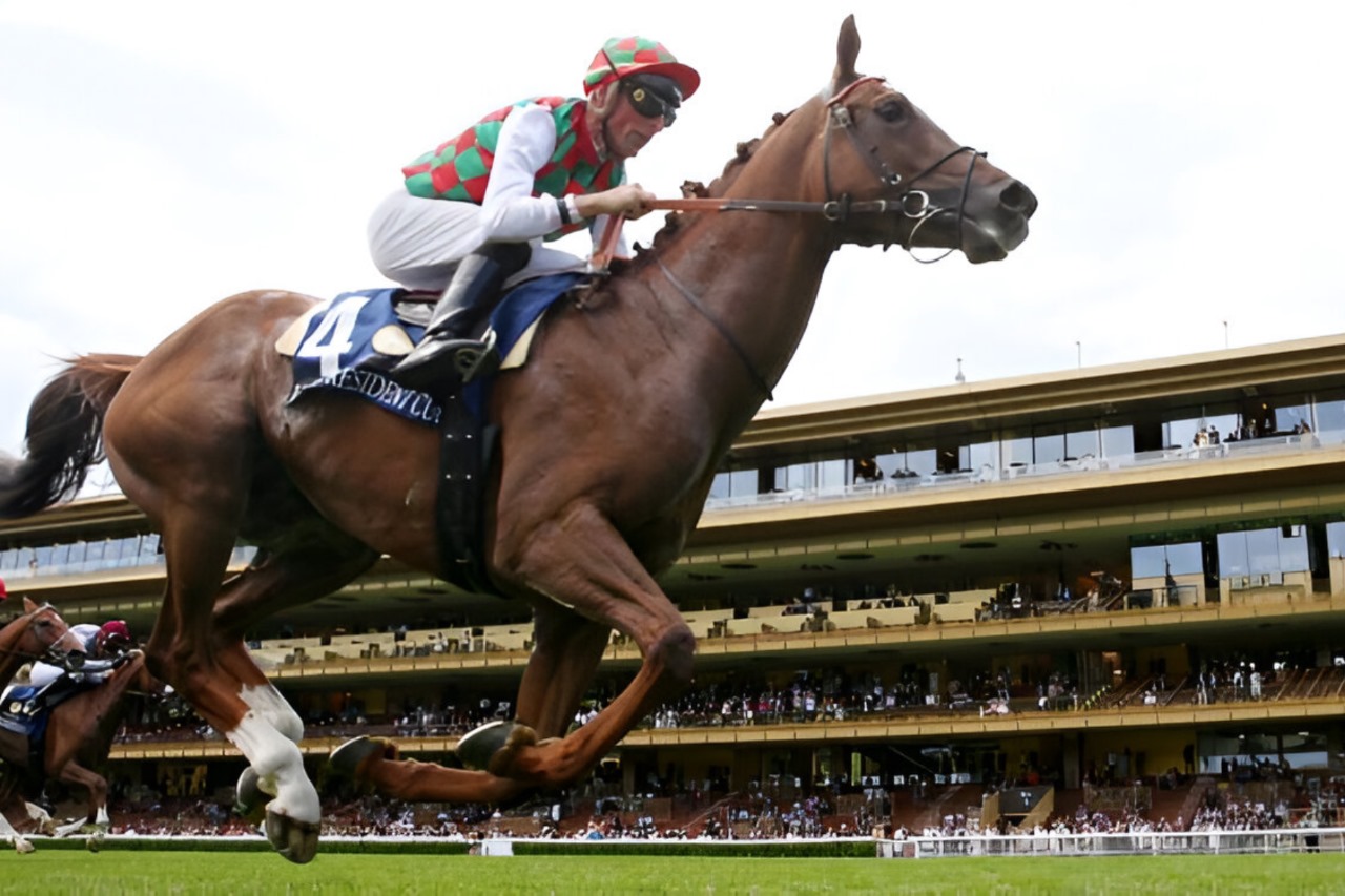 UAE President’s Cup for Purebred Arabian Horses Makes Grand Debut in France