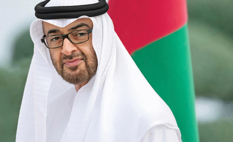 UAE President Drives Gulf Diplomacy for Regional Stability