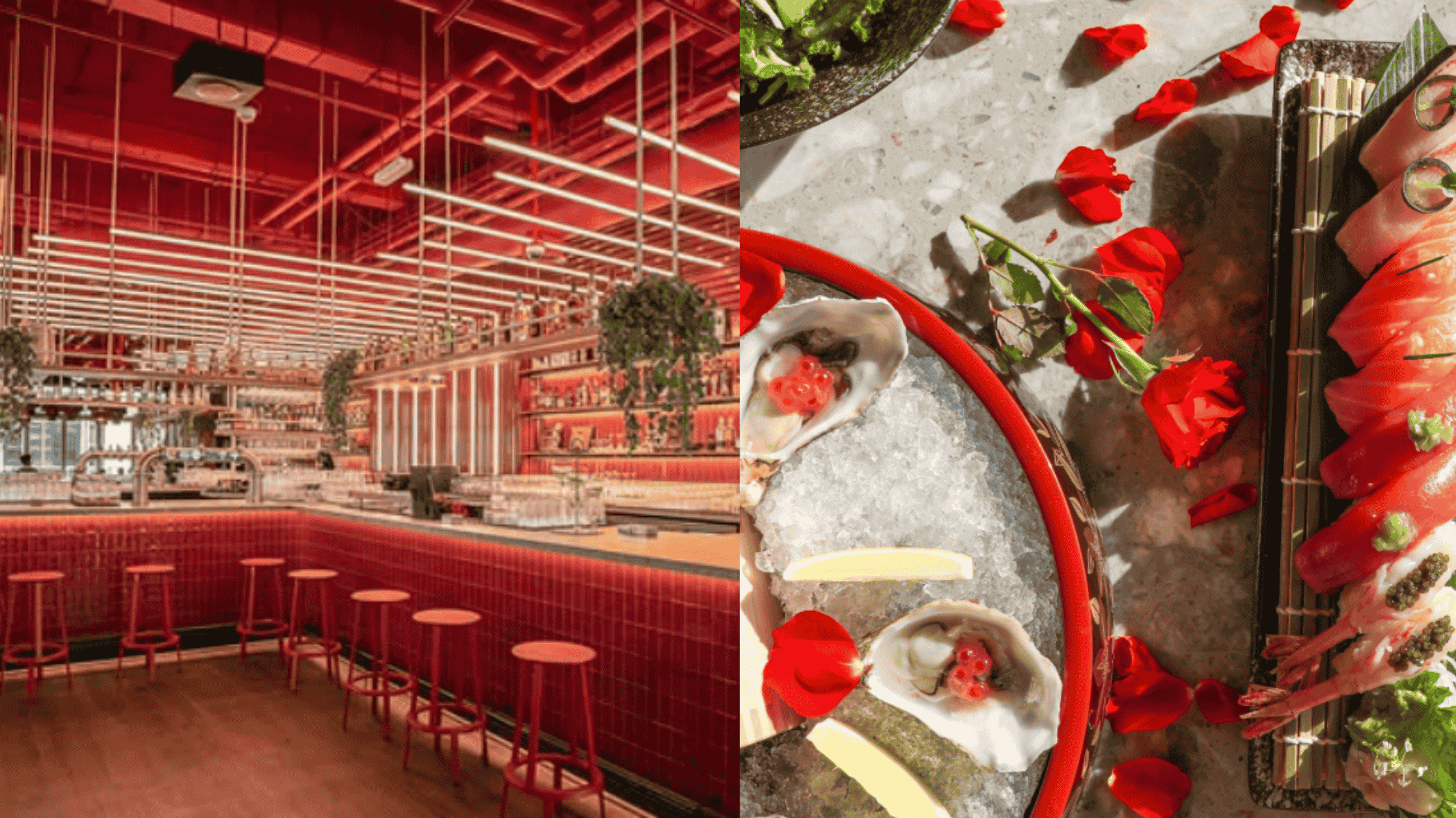 Dive into Cargo’s energetic atmosphere with bold Asian flavors, skyline views, and craft cocktails in the heart of Dubai Marina.