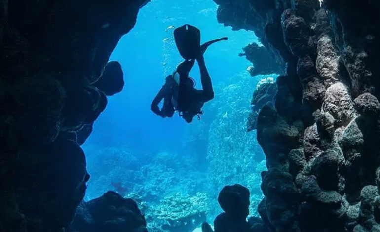 Abu Al Madafa Caves Invite Global Divers to Red Sea Majesty