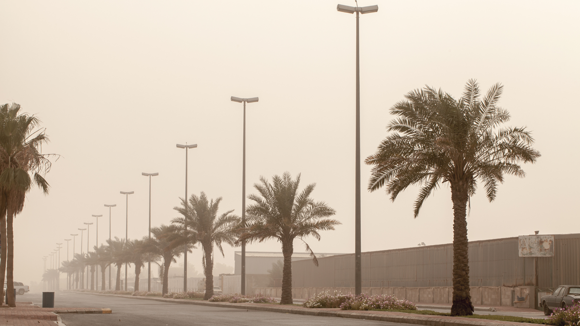 Saudi Arabia Weather Alert: Dust Storms, Thunderstorms Impact Regions