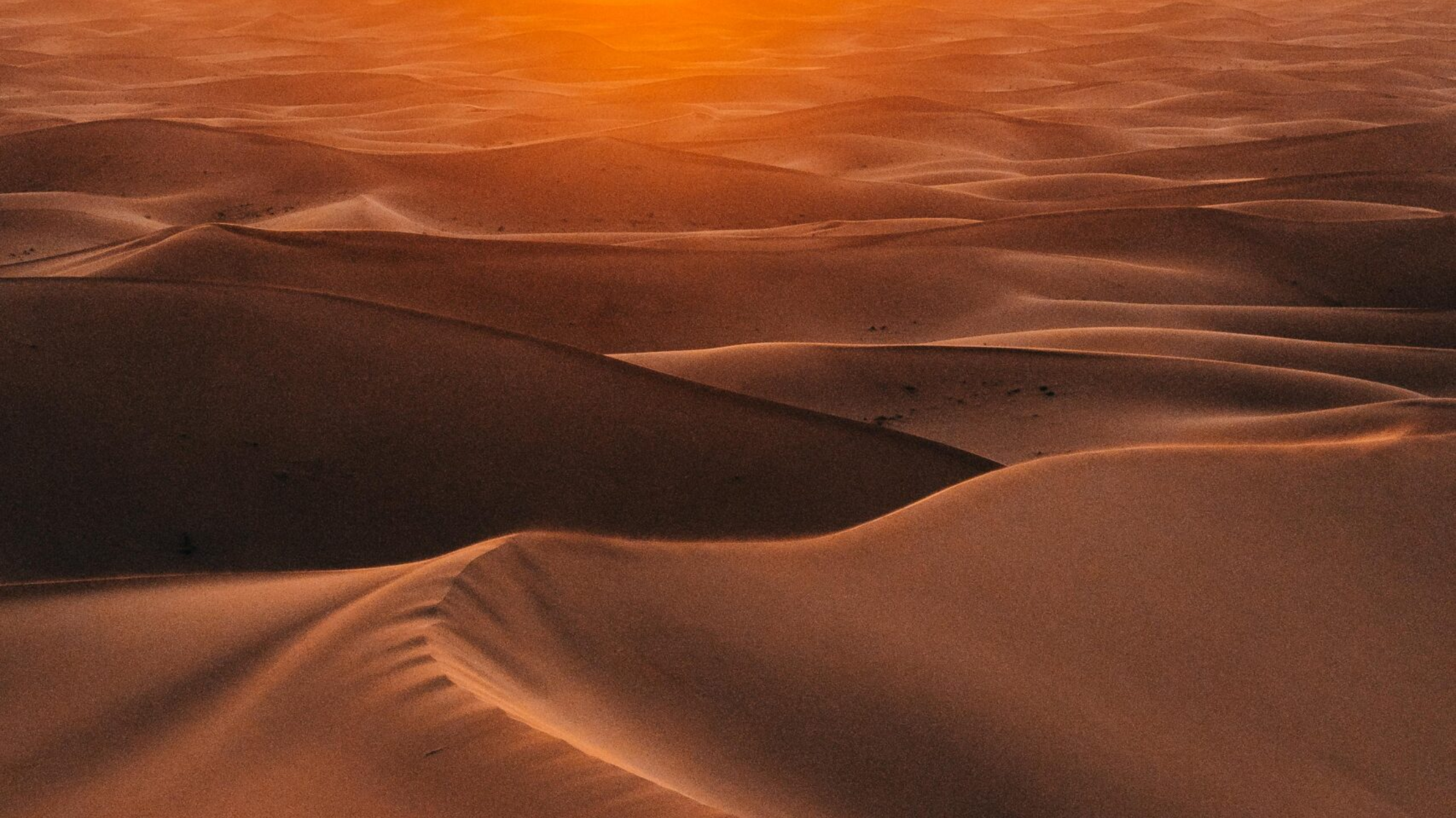 Image source: Pexels