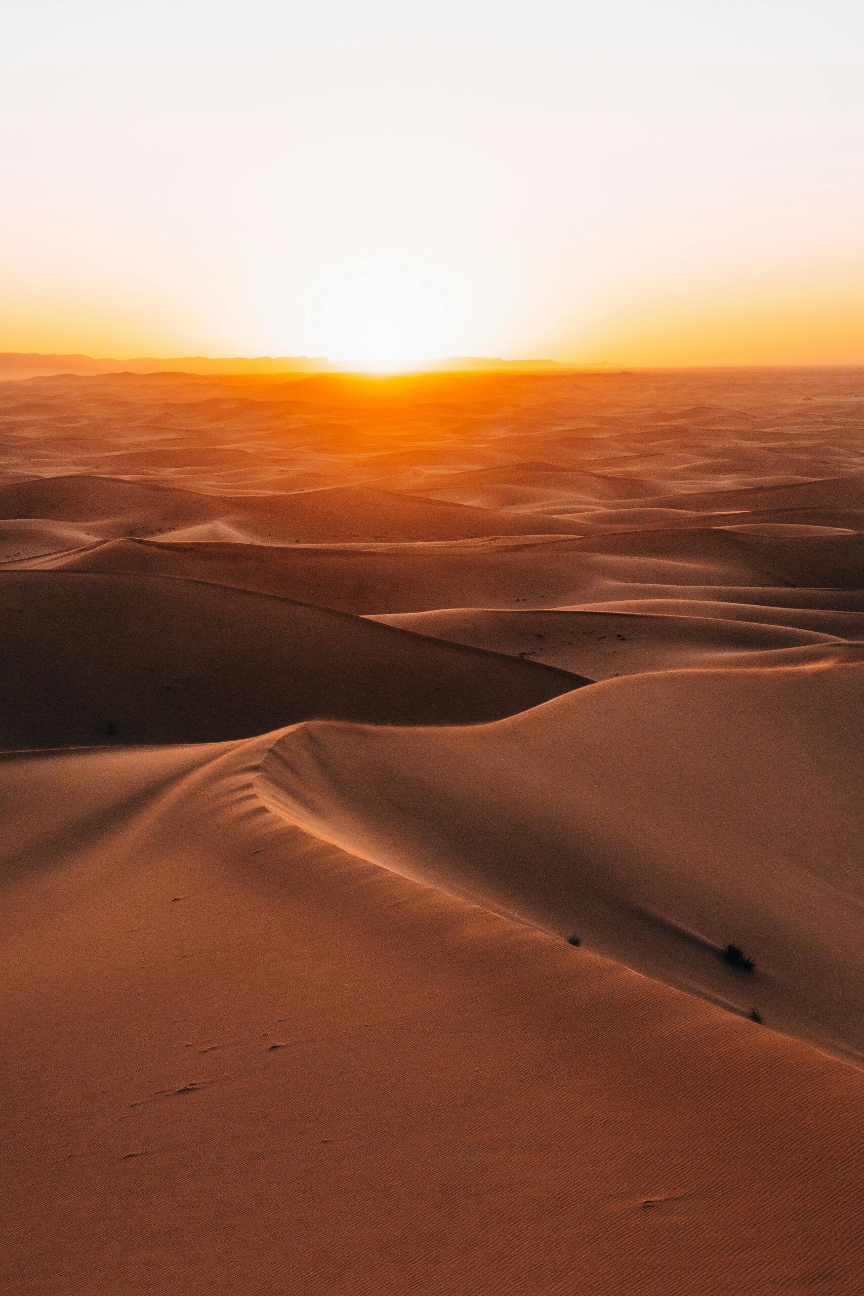 Image source: Pexels