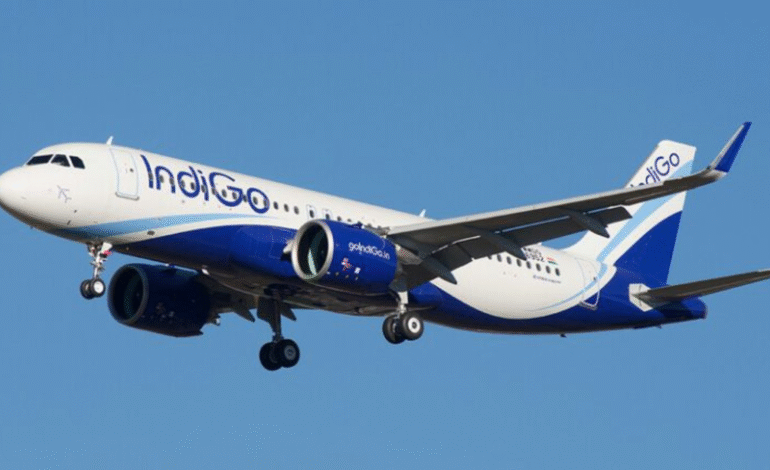 IndiGo’s City Check-In: Hassle-Free Travel at Zayed Airport