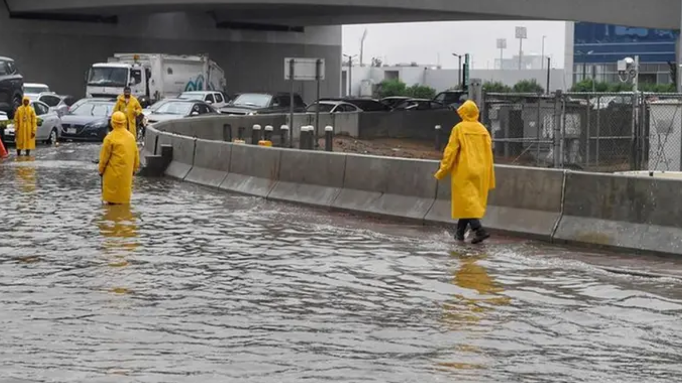 Saudi Arabia Civil Defense Warning: Thunderstorms and Flood Risks