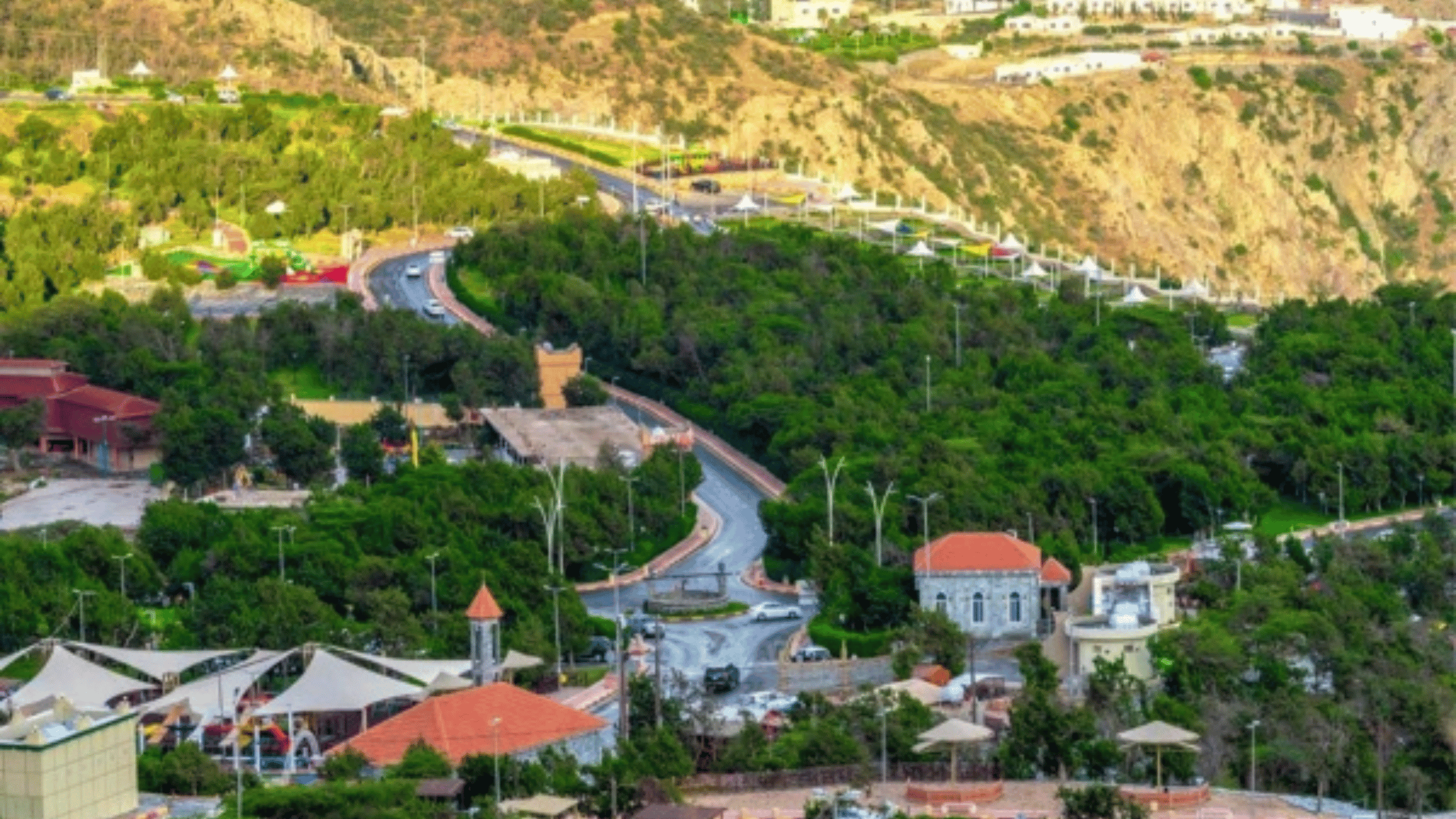 Saudi Arabia Launches First Coffee-Producing City in Al Baha Region