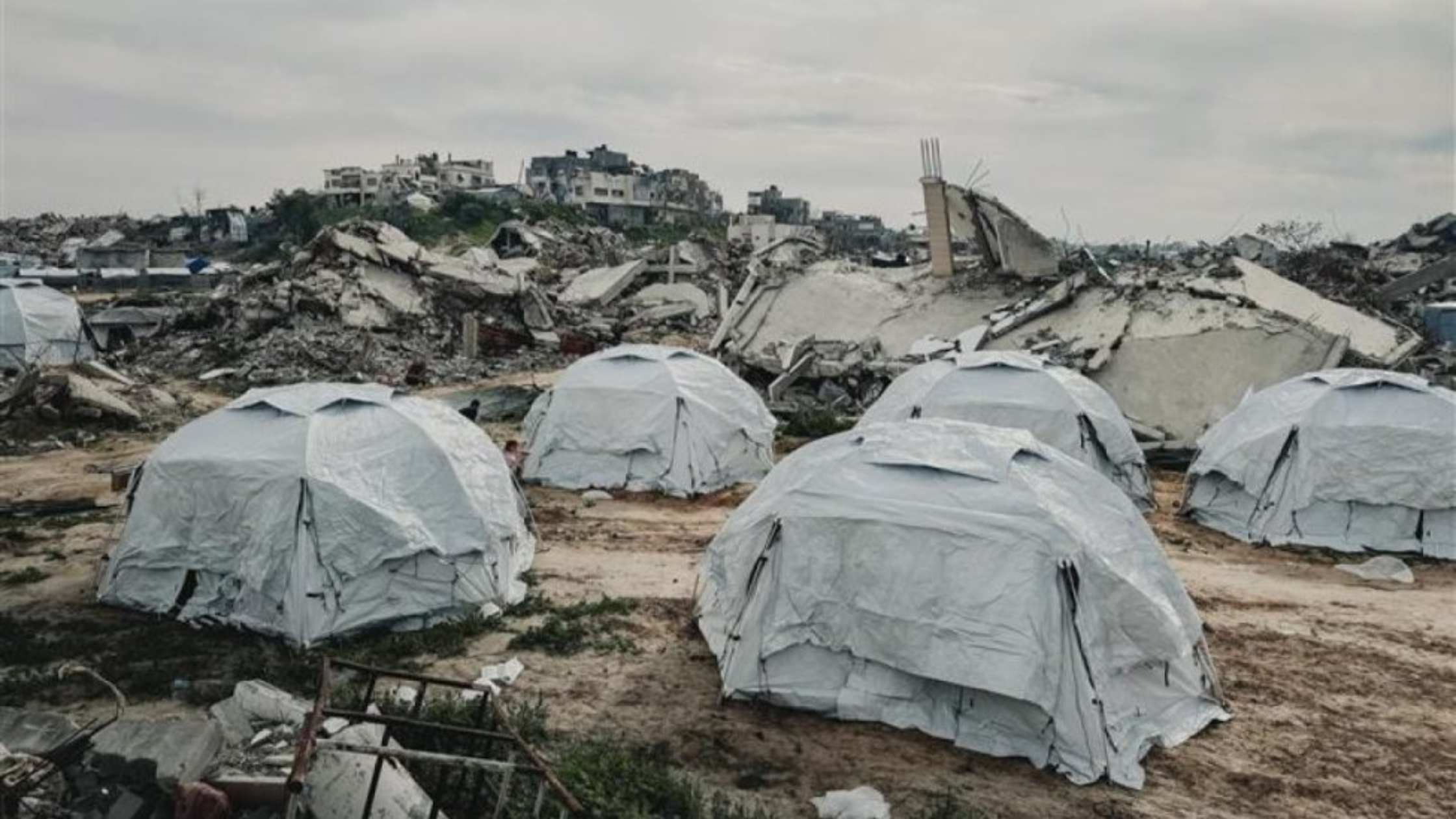 UAE Launches Digital Platform to Register Gaza Camps and Shelters