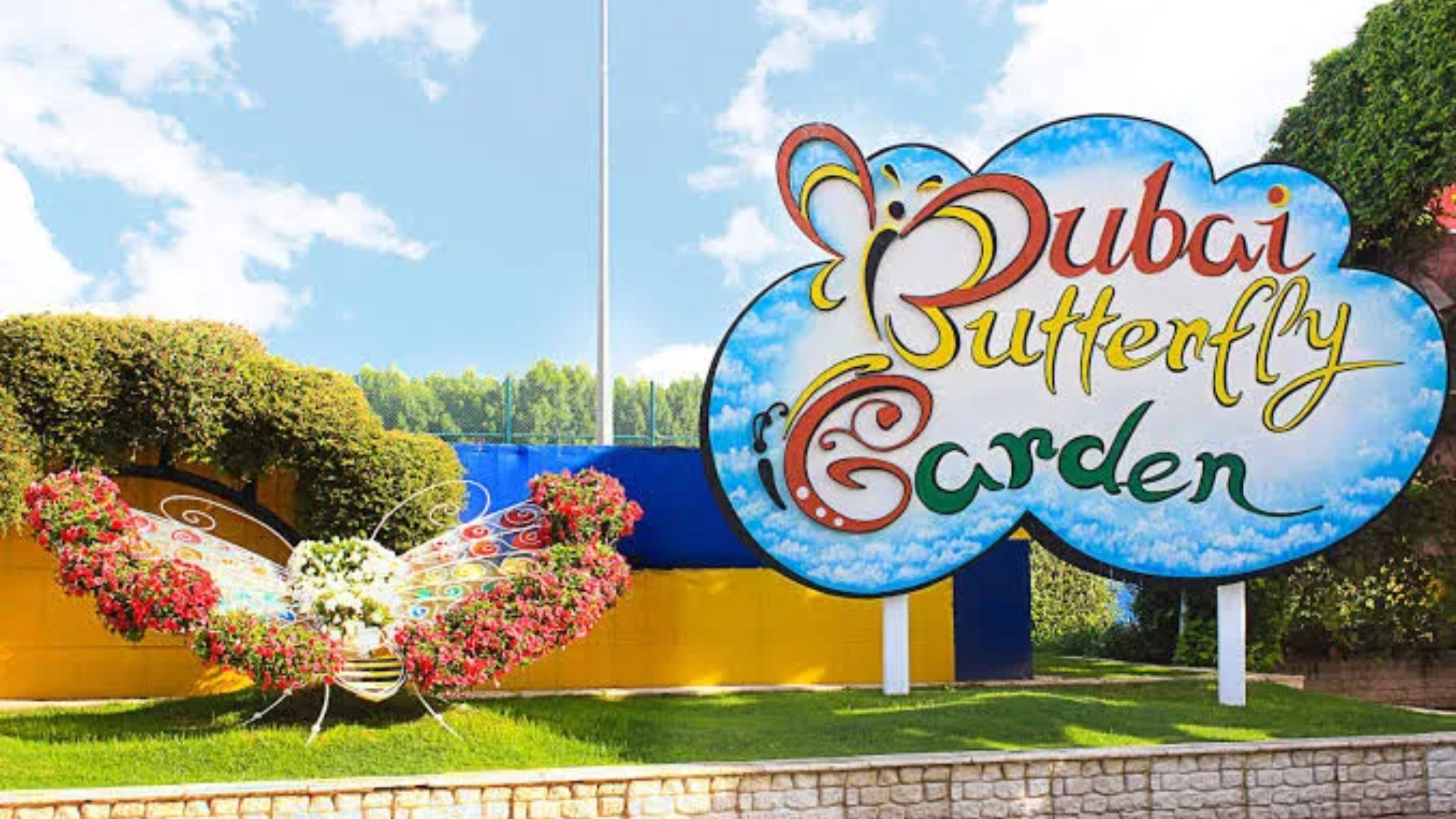 Image source: Official account of @Dubai Butterfly Garden