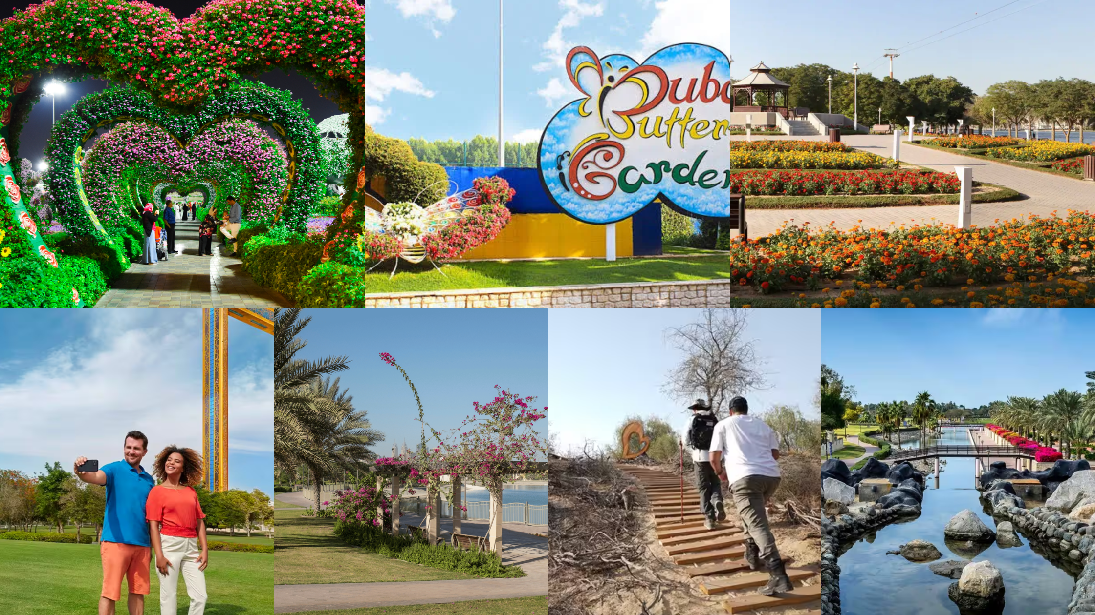 Best Dubai Gardens to Visit 2025: Miracle Garden & Top Spots
