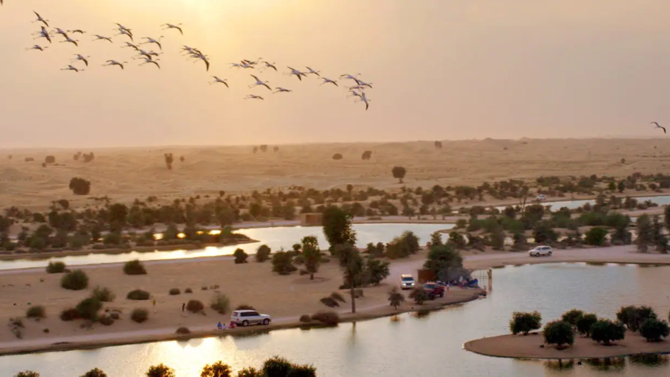 Image source: Official account of @Visit Dubai