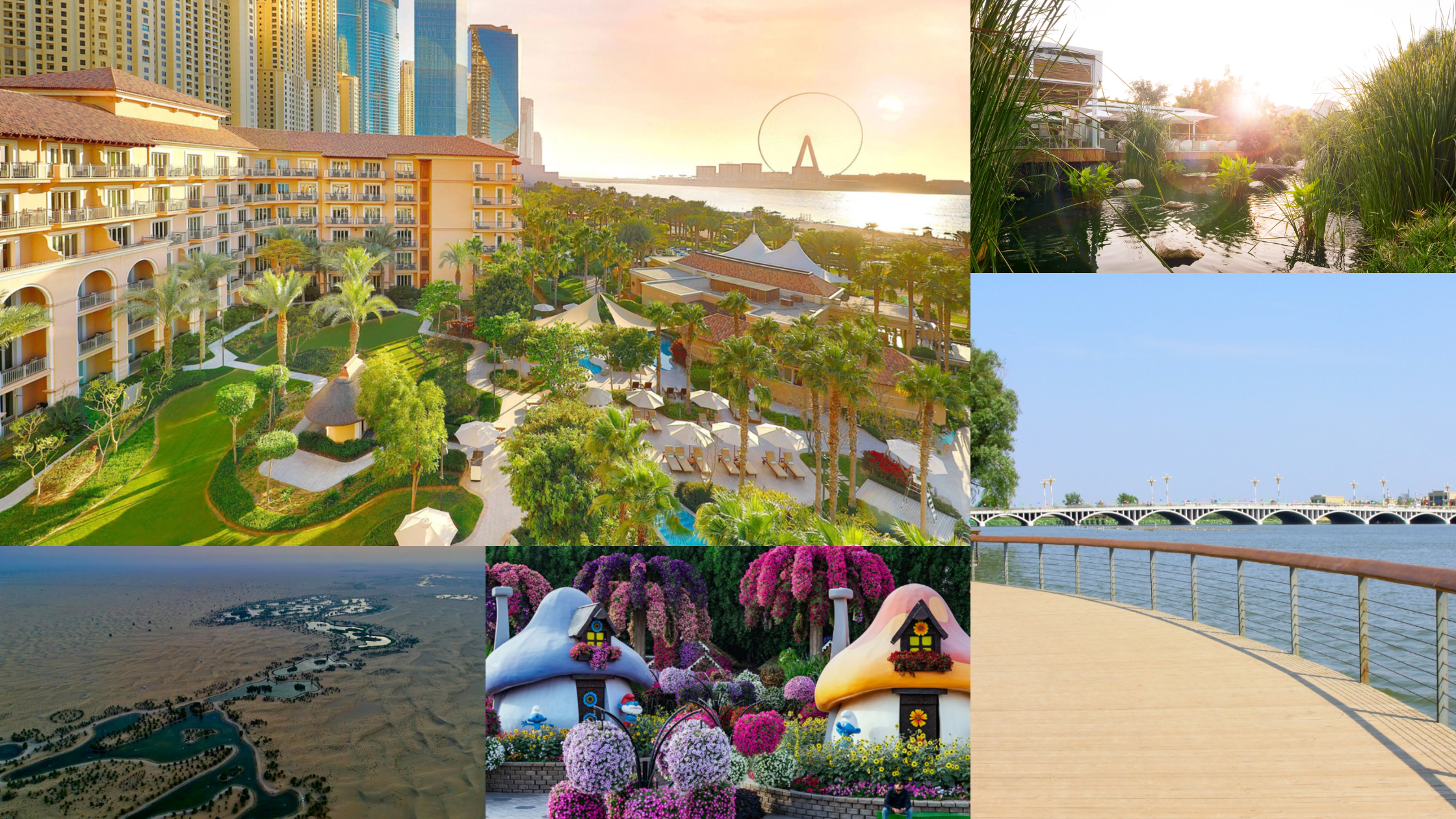 Luxury Picnic Experiences & Designer Outdoor Dining in Dubai and UAE (2025)