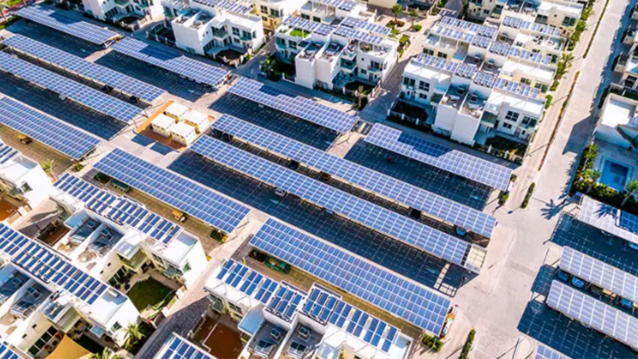 Image source: Official account of @The Sustainable City