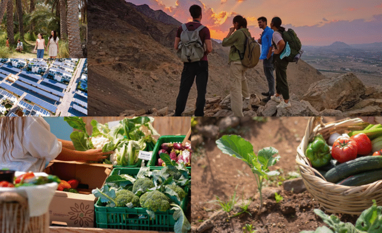 Farm Stays Near Dubai That Feel Like Another World