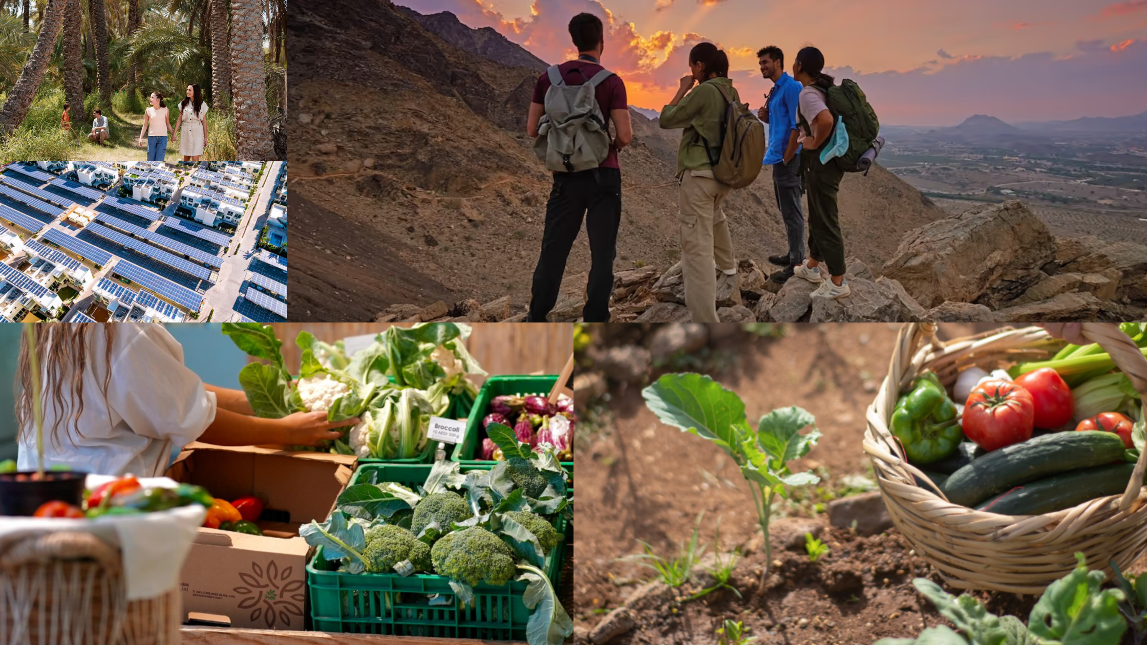 Farm Stays Near Dubai That Feel Like Another World