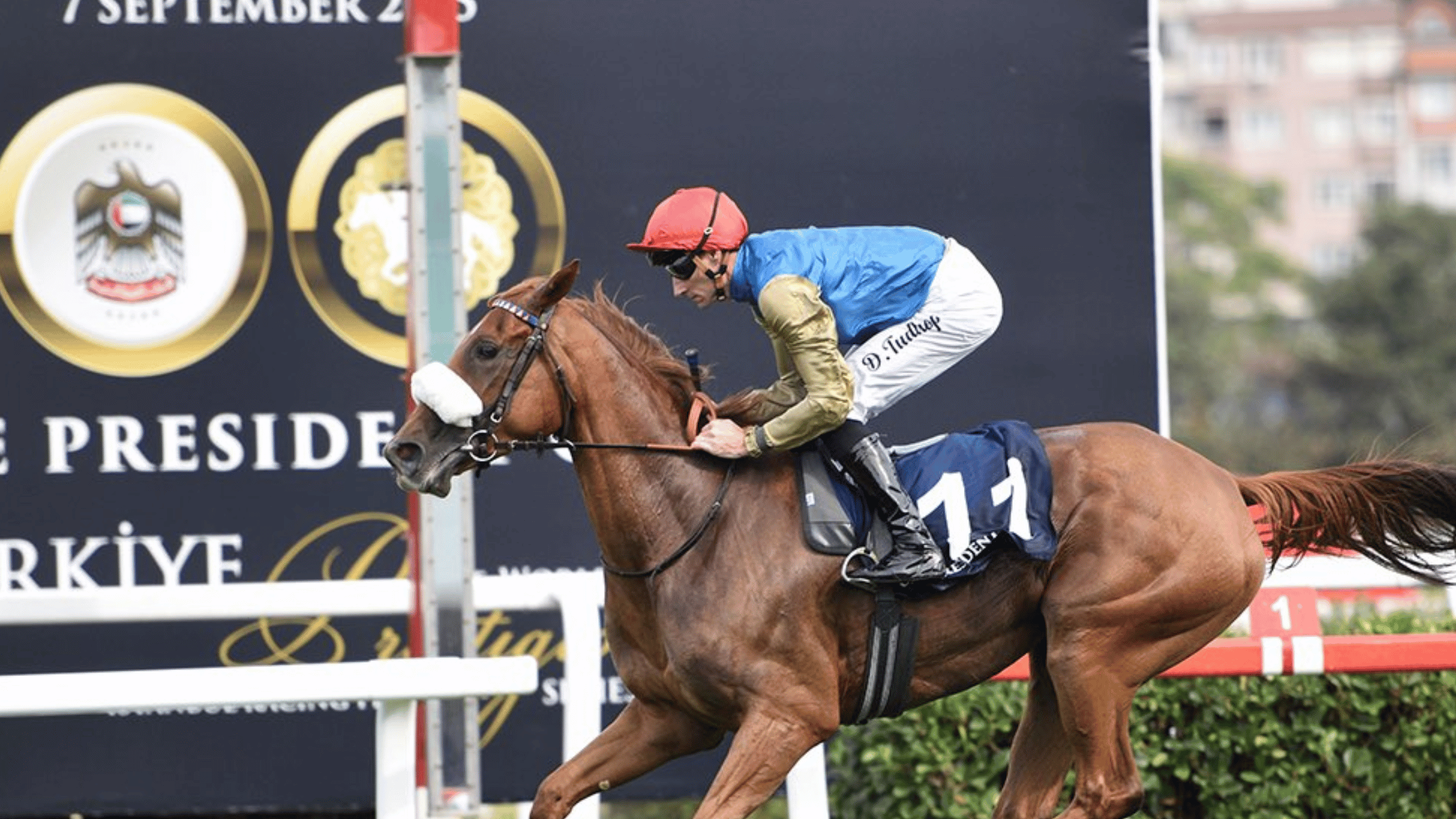 RB Mary Lylah Shines in UAE President’s Cup Arabian Race Istanbul