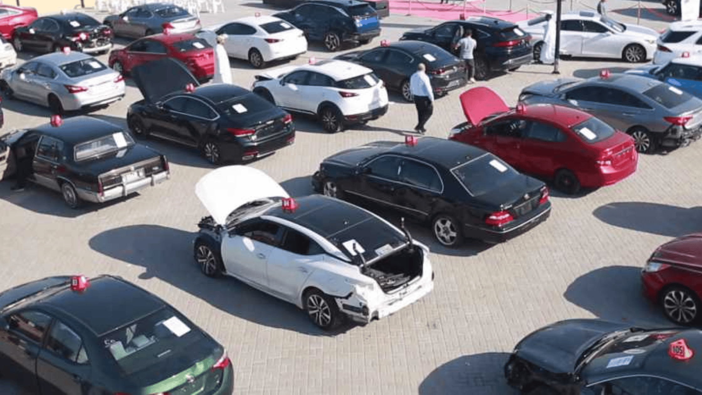 Sharjah Executive Council Amends Law on Vehicle Impound and Auctions