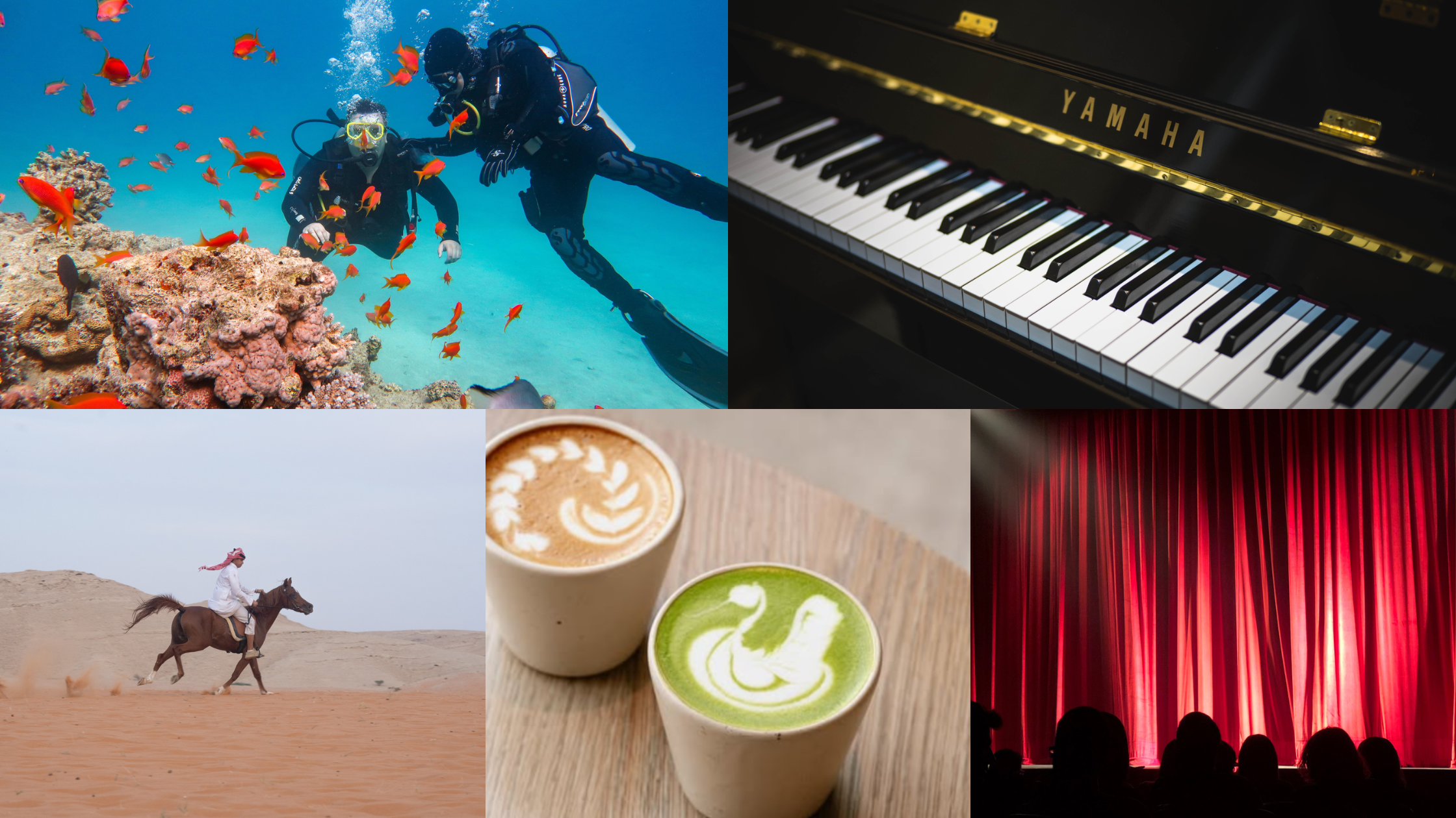 Unique Weekend Activities in Dubai: 5 Fun Skills to Try