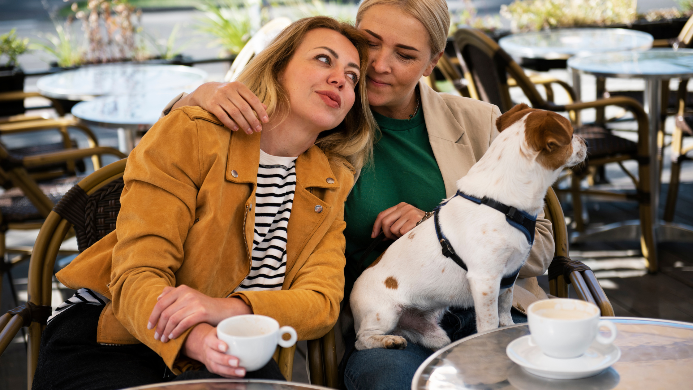 Pet Friendly Cafes in Dubai