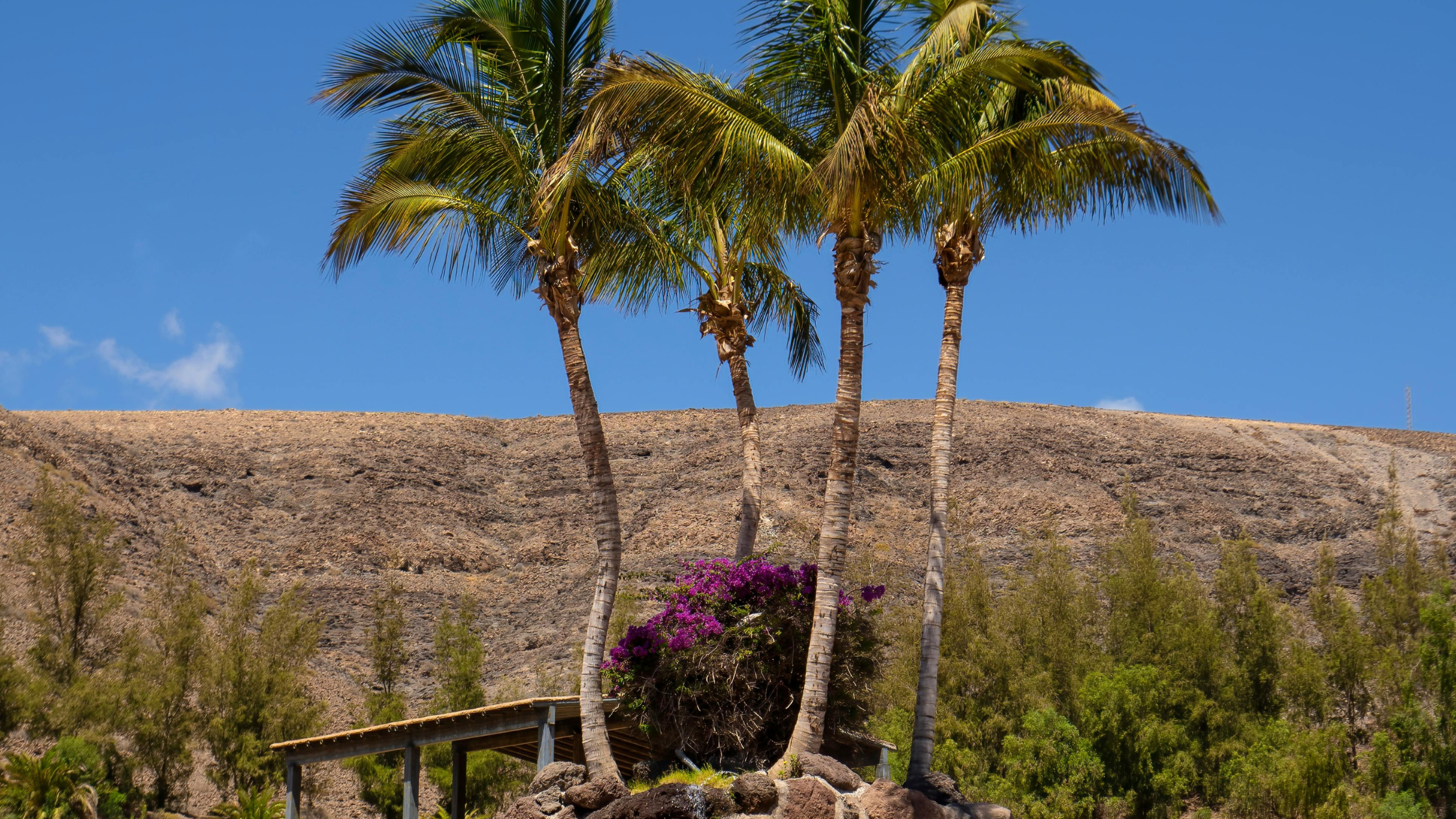 UAE Wellness Retreats