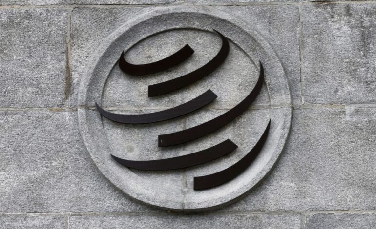 Saudi Arabia Proposes Hosting WTO Meeting in 2028