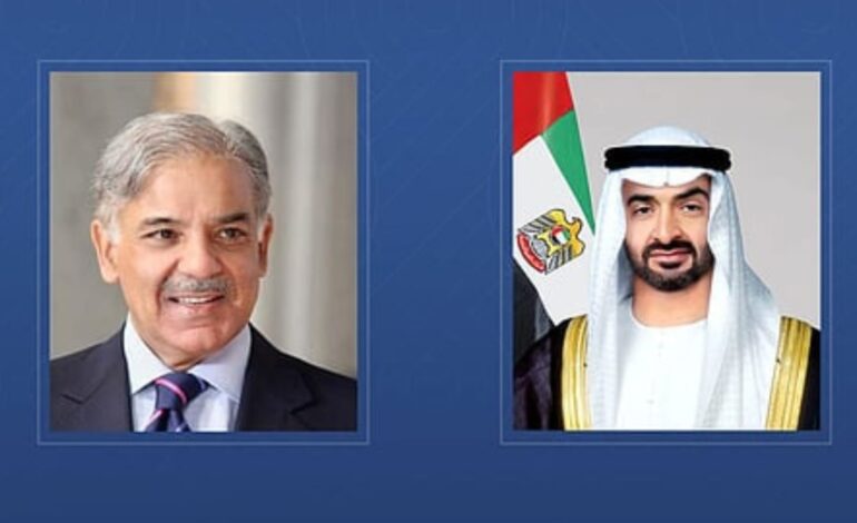 UAE President, Pakistan PM Discuss Economic Cooperation