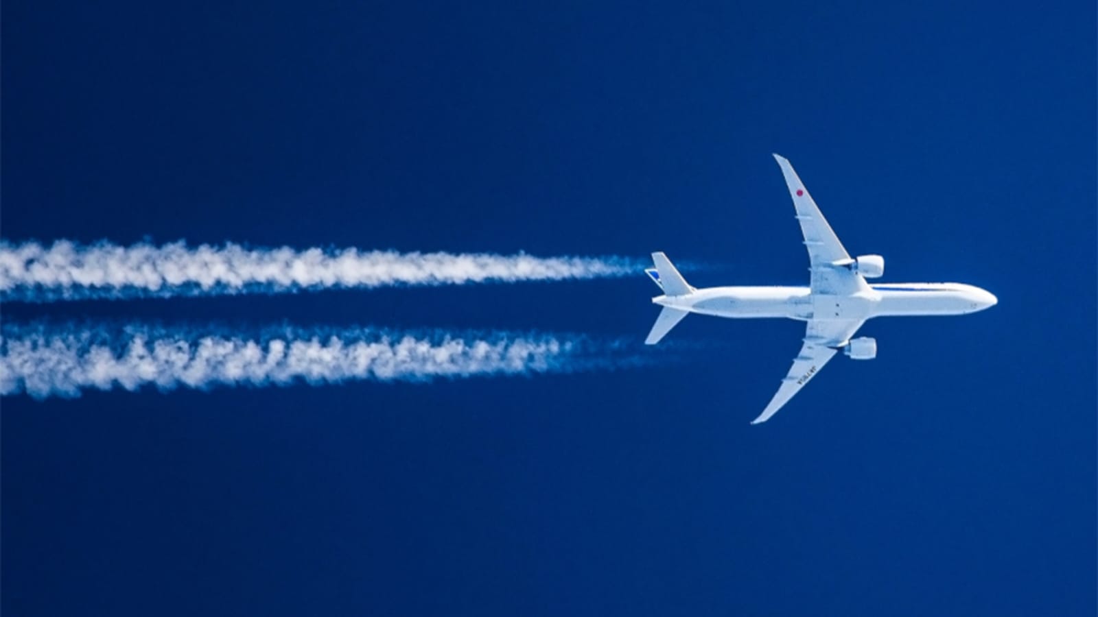 Indian Airlines to Run 50 Flights to Gulf for Stranded Passengers